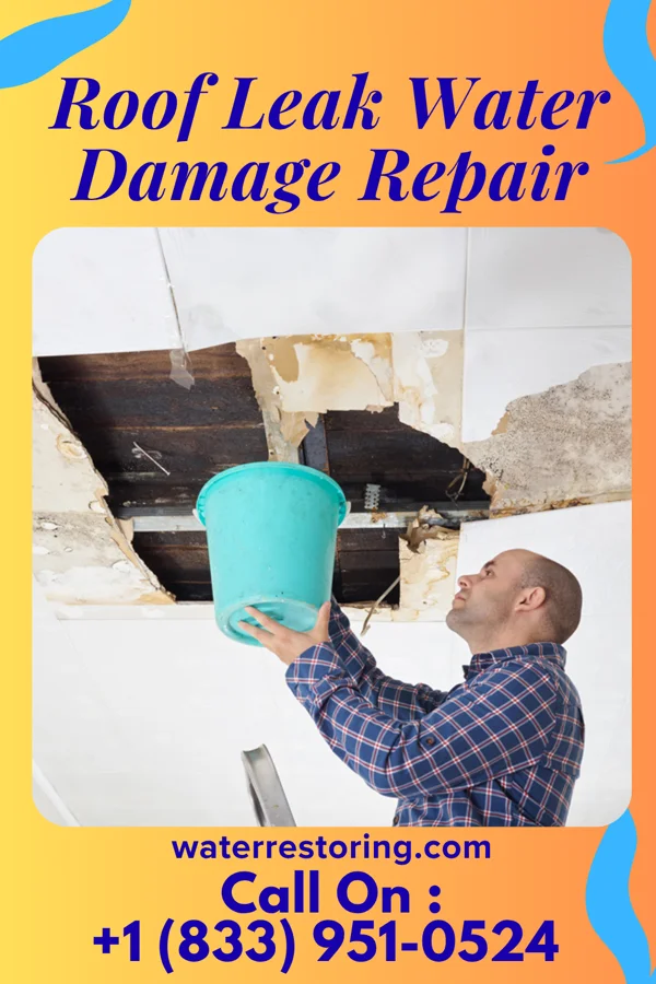 Roof Leak Water Damage Repair in Deersville, OH