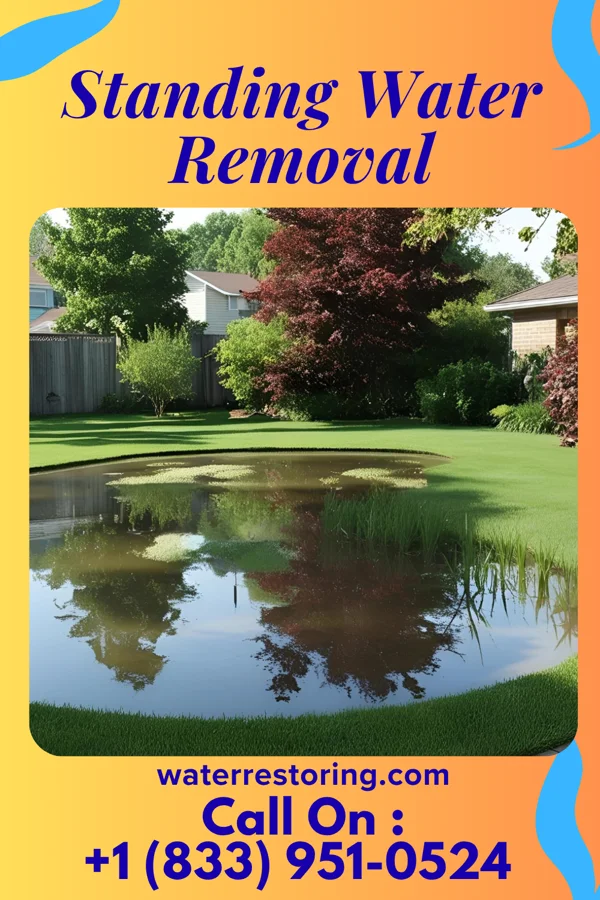 Standing Water Removal in Deersville, OH
